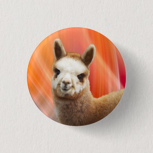 Badge Rond 2,50 Cm Boutons mignons d'alpaga (Devant)