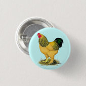 Badge Rond 2,50 Cm Brahma : Rooster Buff (Devant & derrière)