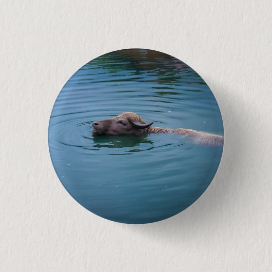 Badge Rond 2,50 Cm Buffalo d'eau de natation (Devant)