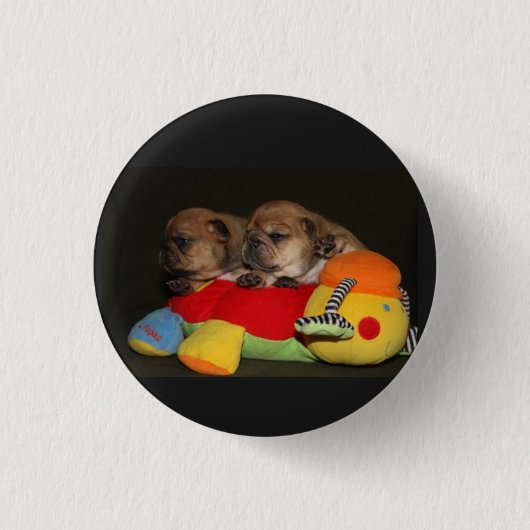 Badge Rond 2,50 Cm Bulldogen Button (Devant)