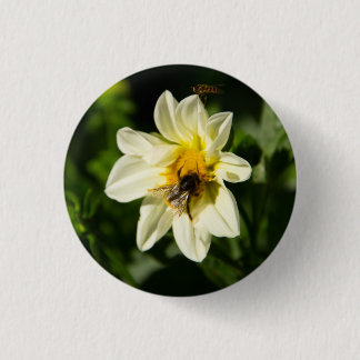 Badge Rond 2,50 Cm Bumblebee et dahlia blanc photo