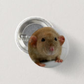 Badge Rond 2,50 Cm Burmese dumbo Rat (Devant & derrière)