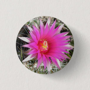 Badge Rond 2,50 Cm Cactus Boule F12 "Escobaria vivipara"