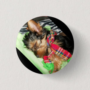 Badge Rond 2,50 Cm Câlin de Yorkie