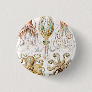 Badge Rond 2,50 Cm Calmar de poulpe, Gamochonia par Ernst Haeckel