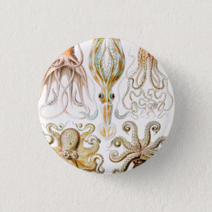 Badge Rond 2,50 Cm Calmar de poulpe, Gamochonia par Ernst Haeckel