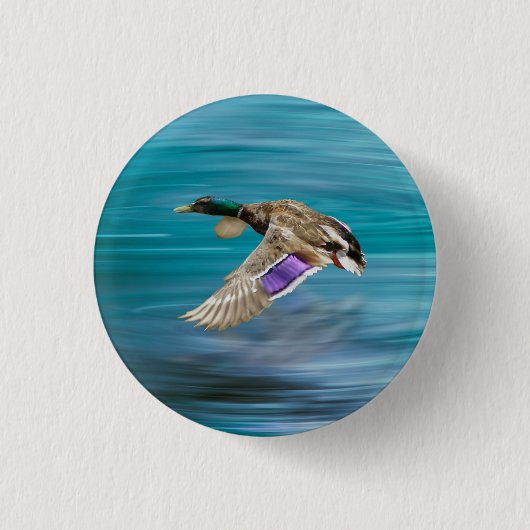 Badge Rond 2,50 Cm Canard de Majard volant (Devant)