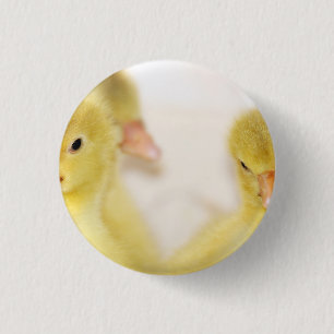 Badge Rond 2,50 Cm Canetons jaunes duveteux