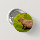 Badge Rond 2,50 Cm Capybara (Devant & derrière)