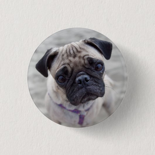 Badge Rond 2,50 Cm Carlin (Devant)