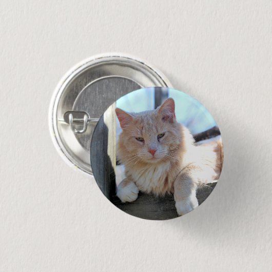 Badge Rond 2,50 Cm Cat (Devant & derrière)