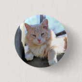 Badge Rond 2,50 Cm Cat (Devant)