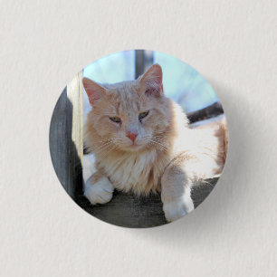 Badge Rond 2,50 Cm Cat