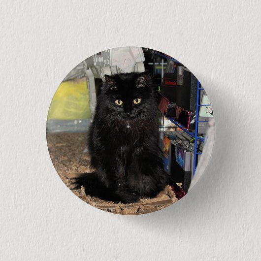 Badge Rond 2,50 Cm Cat (Devant)