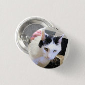 Badge Rond 2,50 Cm Cat (Devant & derrière)