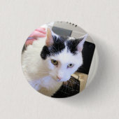 Badge Rond 2,50 Cm Cat (Devant)