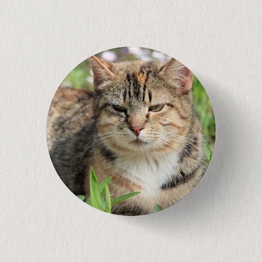 Badge Rond 2,50 Cm Cat (Devant)