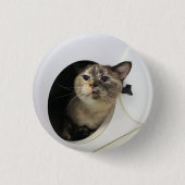Badge Rond 2,50 Cm Cat (Devant)