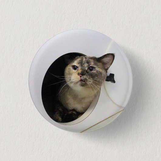 Badge Rond 2,50 Cm Cat (Devant)