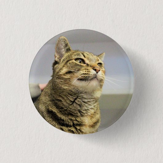Badge Rond 2,50 Cm Cat (Devant)