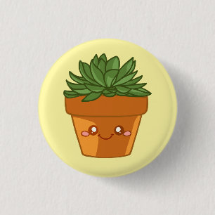 Badge Rond 2,50 Cm Centre de table coloré en pot avec des succulentes