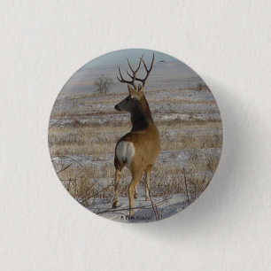 Badge Rond 2,50 Cm Cerf mulet mâle D20 dans la neige