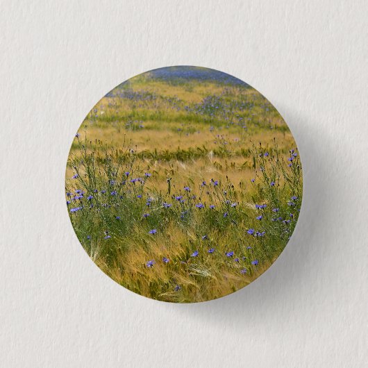 Badge Rond 2,50 Cm Champ de Cornflowers (Devant)