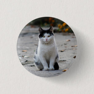 Badge Rond 2,50 Cm Chat, Blanc, Animaux