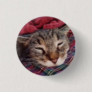 Badge Rond 2,50 Cm Chat de Noël dormant tabby carreaux flanelle rouge