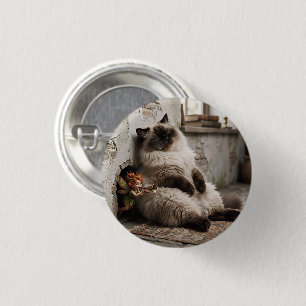 Badge Rond 2,50 Cm Chat himalayen et Pixie Réveil Surprise