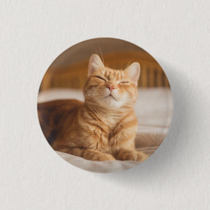 Badge Rond 2,50 Cm Chat somnolent des images de Getty