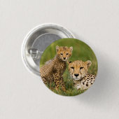Badge Rond 2,50 Cm Cheetah Cub and Parent (Devant & derrière)