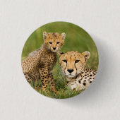 Badge Rond 2,50 Cm Cheetah Cub and Parent (Devant)