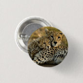 Badge Rond 2,50 Cm Cheetah Cub Snuggling (Devant & derrière)
