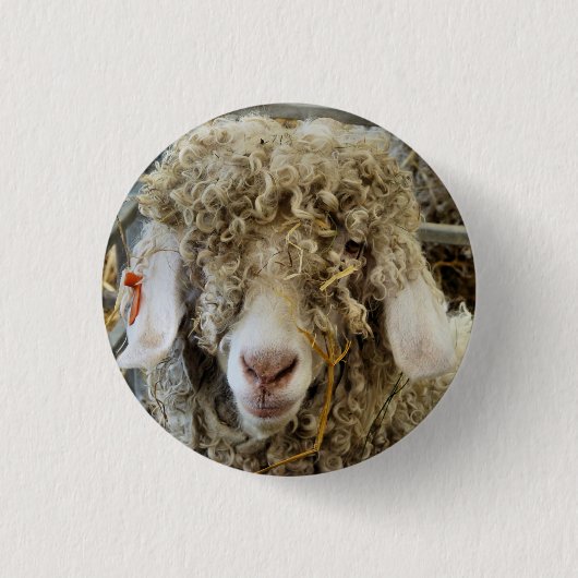 BADGE ROND 2,50 CM CHÈQUE CUTE (Devant)