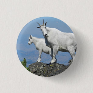 Badge Rond 2,50 Cm Chèvres de montagne Photo White Wildlife