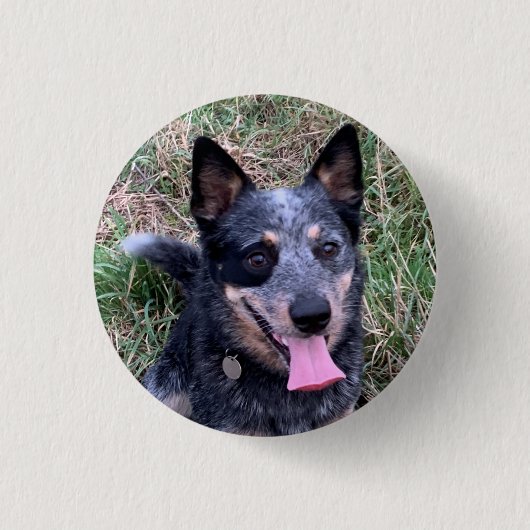 Badge Rond 2,50 Cm Chien de bétail australien (Devant)