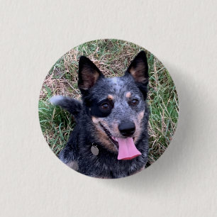 Badge Rond 2,50 Cm Chien de bétail australien