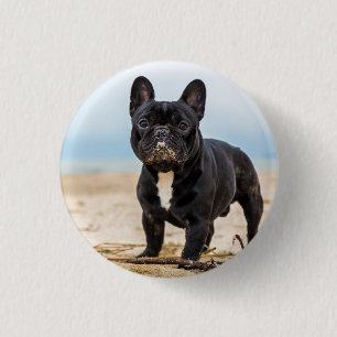 Badge Rond 2,50 Cm Chien de taureau français jouant dans le sable