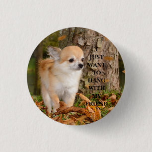 Badge Rond 2,50 Cm Chihuahua