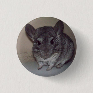 Badge Rond 2,50 Cm Chinchilla