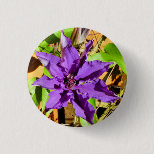 BADGE ROND 2,50 CM CLEMATIS