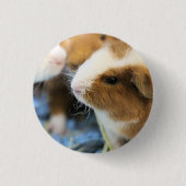 Badge Rond 2,50 Cm Cochon (Devant)