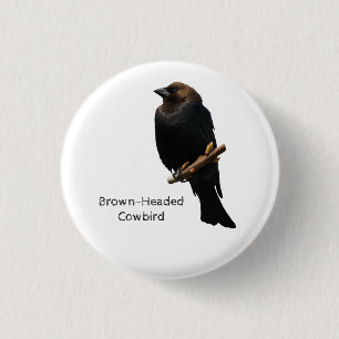 Badge Rond 2,50 Cm Colibri à tête Brown
