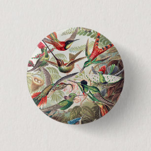 Badge Rond 2,50 Cm Colibri, Trochilidae Kolibris par Ernst Haeckel