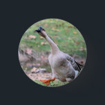 Badge Rond 2,50 Cm Collier argenté d'oie soie<br><div class="desc">Oiseau</div>