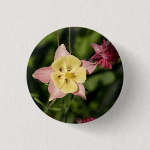 Badge Rond 2,50 Cm Columbine avec Feuille en forme d'étoile