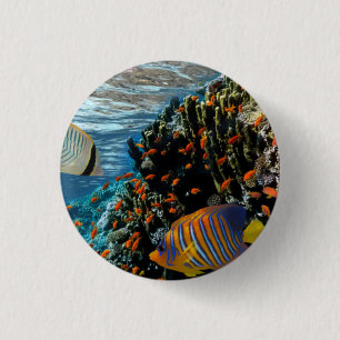 Badge Rond 2,50 Cm Corail Reef avec feu Corail et poissons exotiques