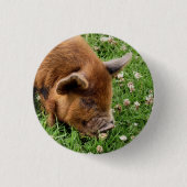BADGE ROND 2,50 CM COUPER (Devant)