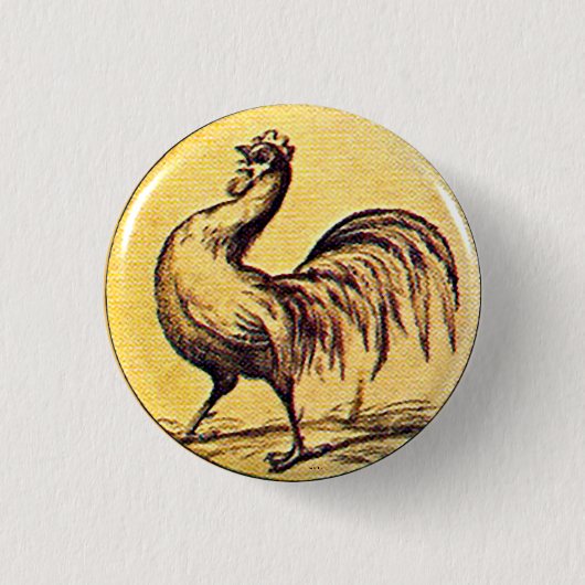 Badge Rond 2,50 Cm Cox pour le président - bouton (Devant)